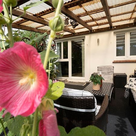 哈夫克鲁格Haus Waldfrieden Ferienhaeuschen Waldfrieden公寓 外观 照片